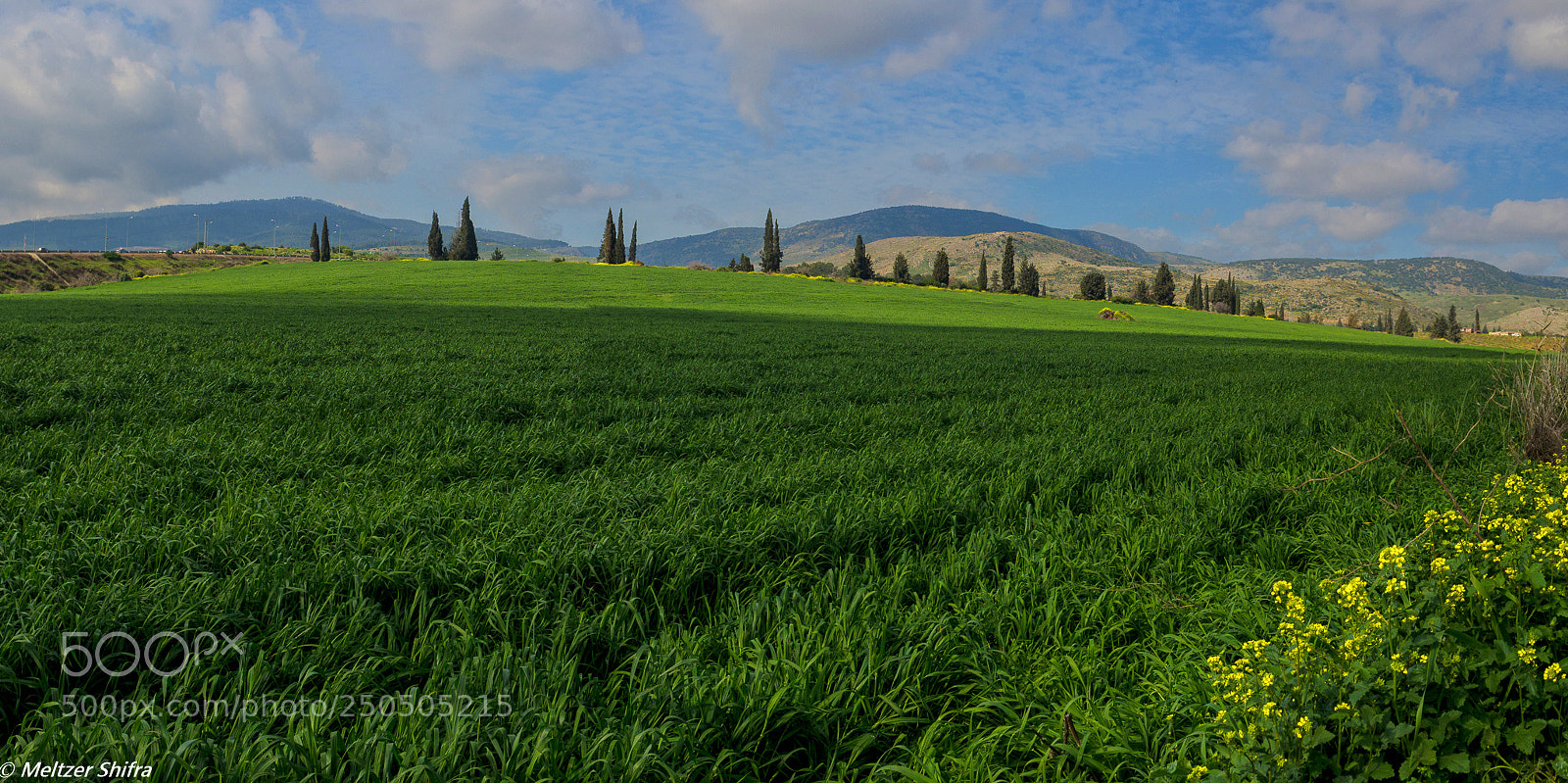 Nikon D7200 sample photo. 5 pics panorama photography