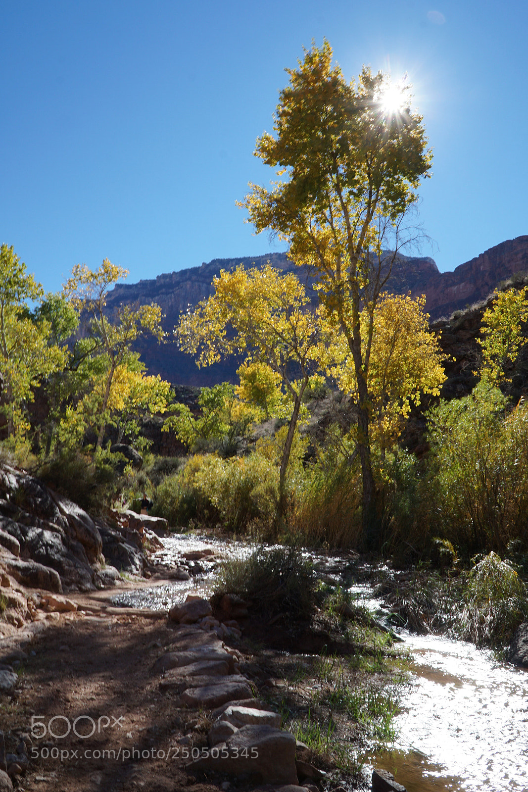 Sony a6000 sample photo. Canyon color photography