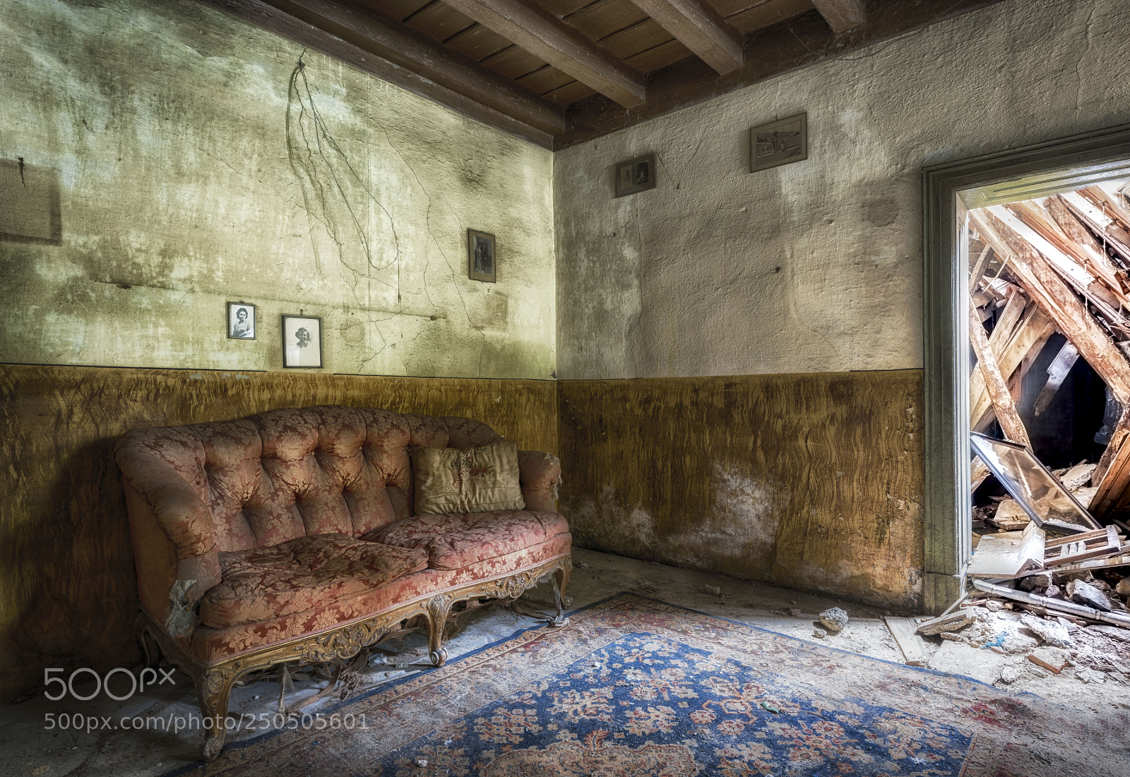 Nikon D810 sample photo. Untitled photography