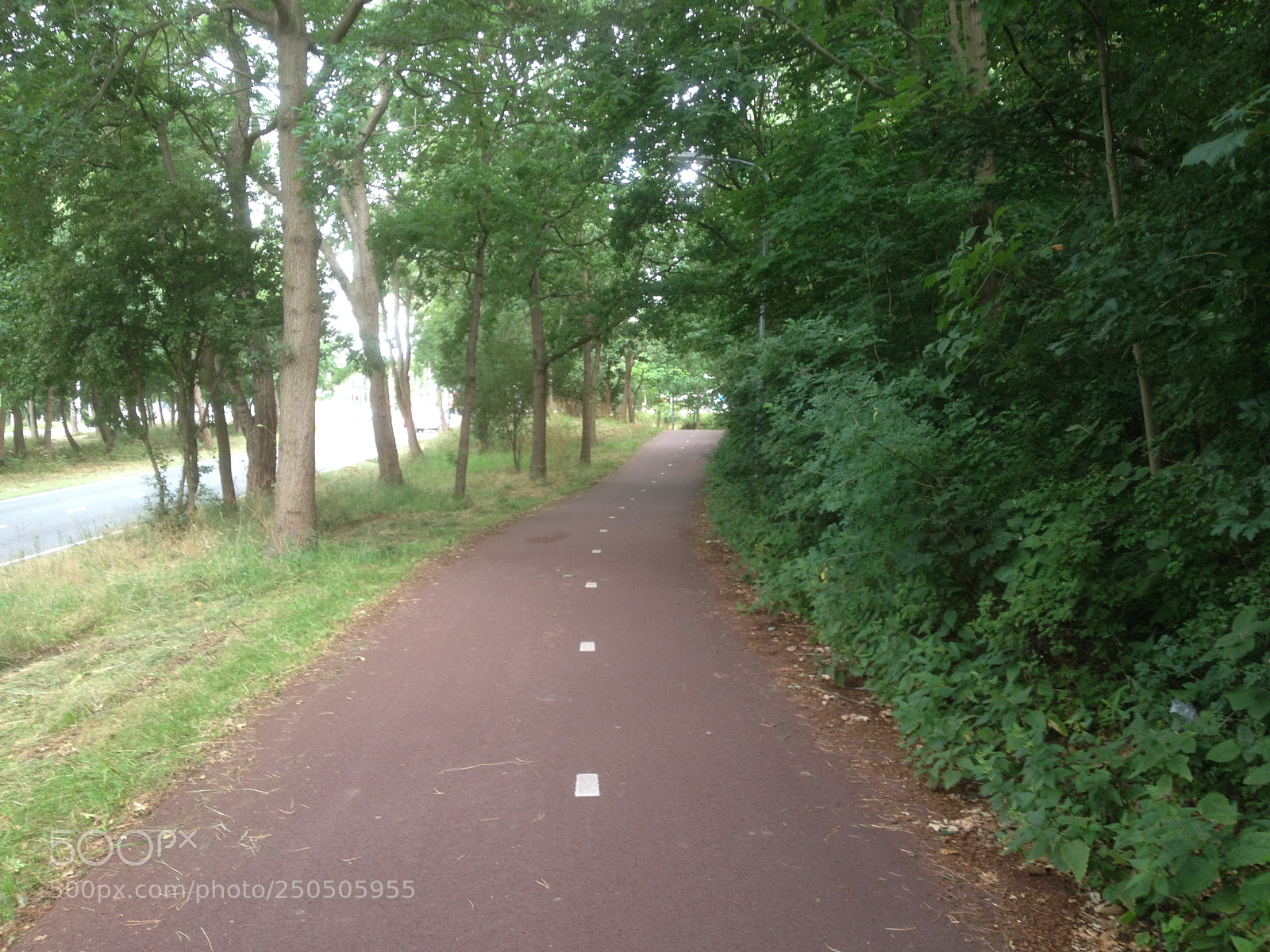 Apple iPhone 4S sample photo. Ten vijverpad photography