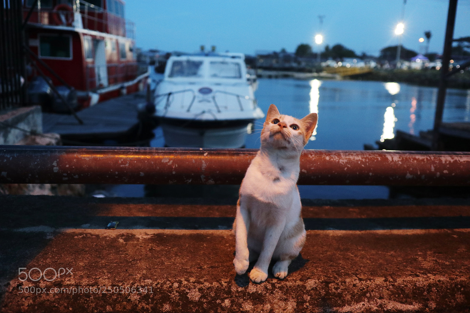 Canon EOS M6 sample photo. Untitled photography