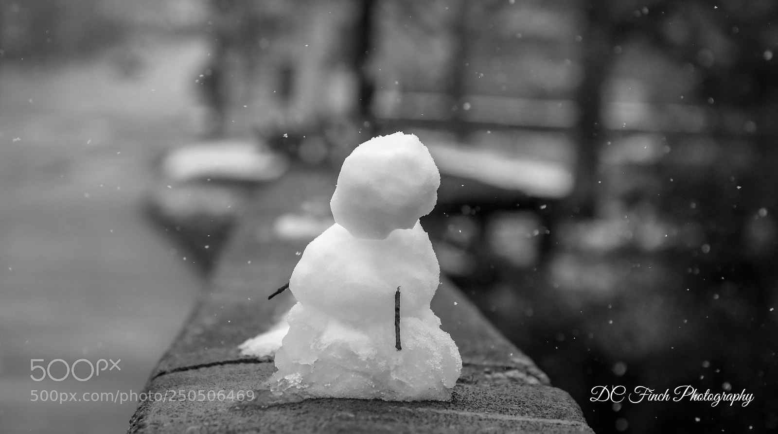 Canon EOS 5D Mark IV sample photo. The last snowman  photography