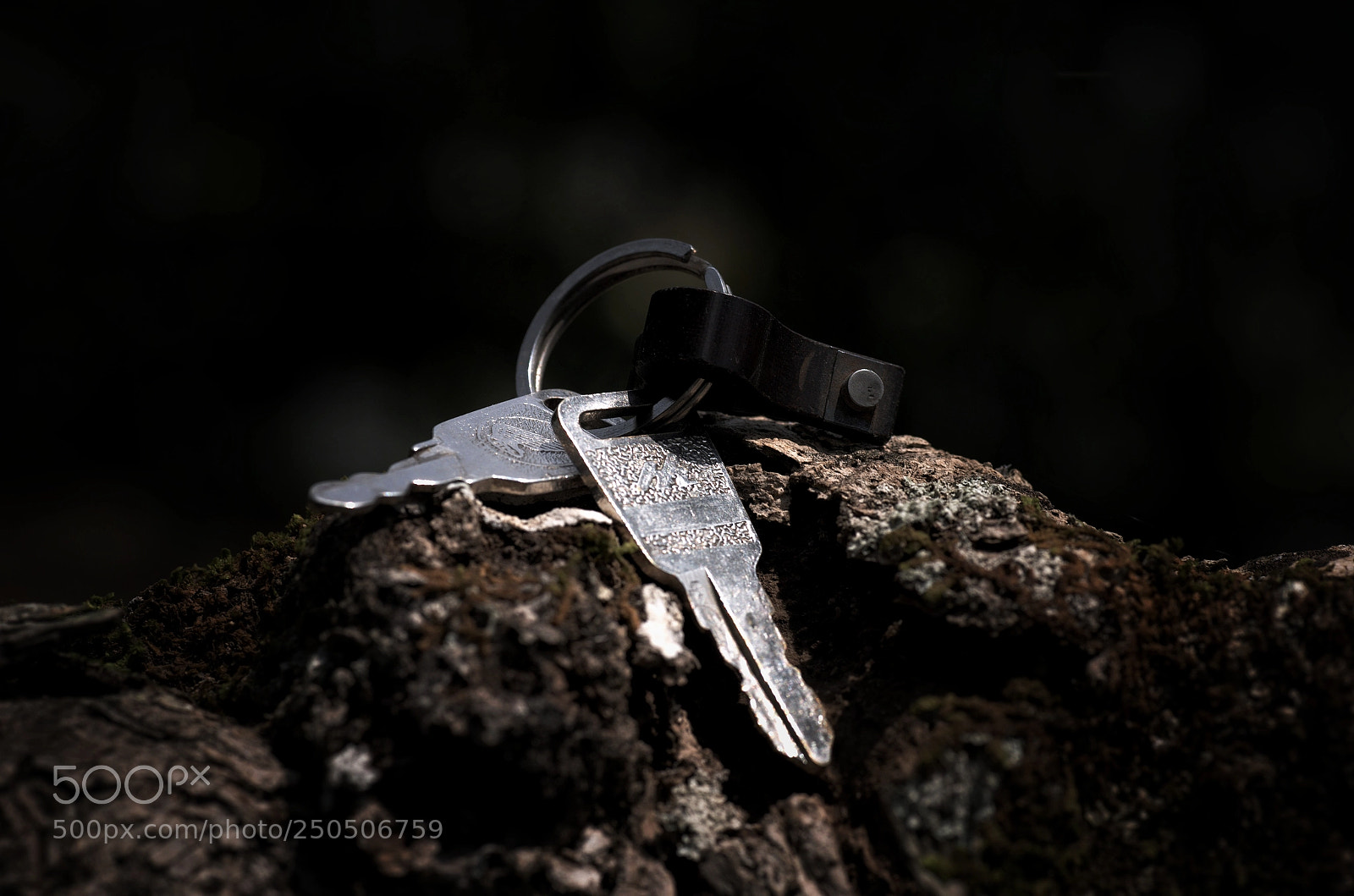 Nikon D610 sample photo. Untitled photography