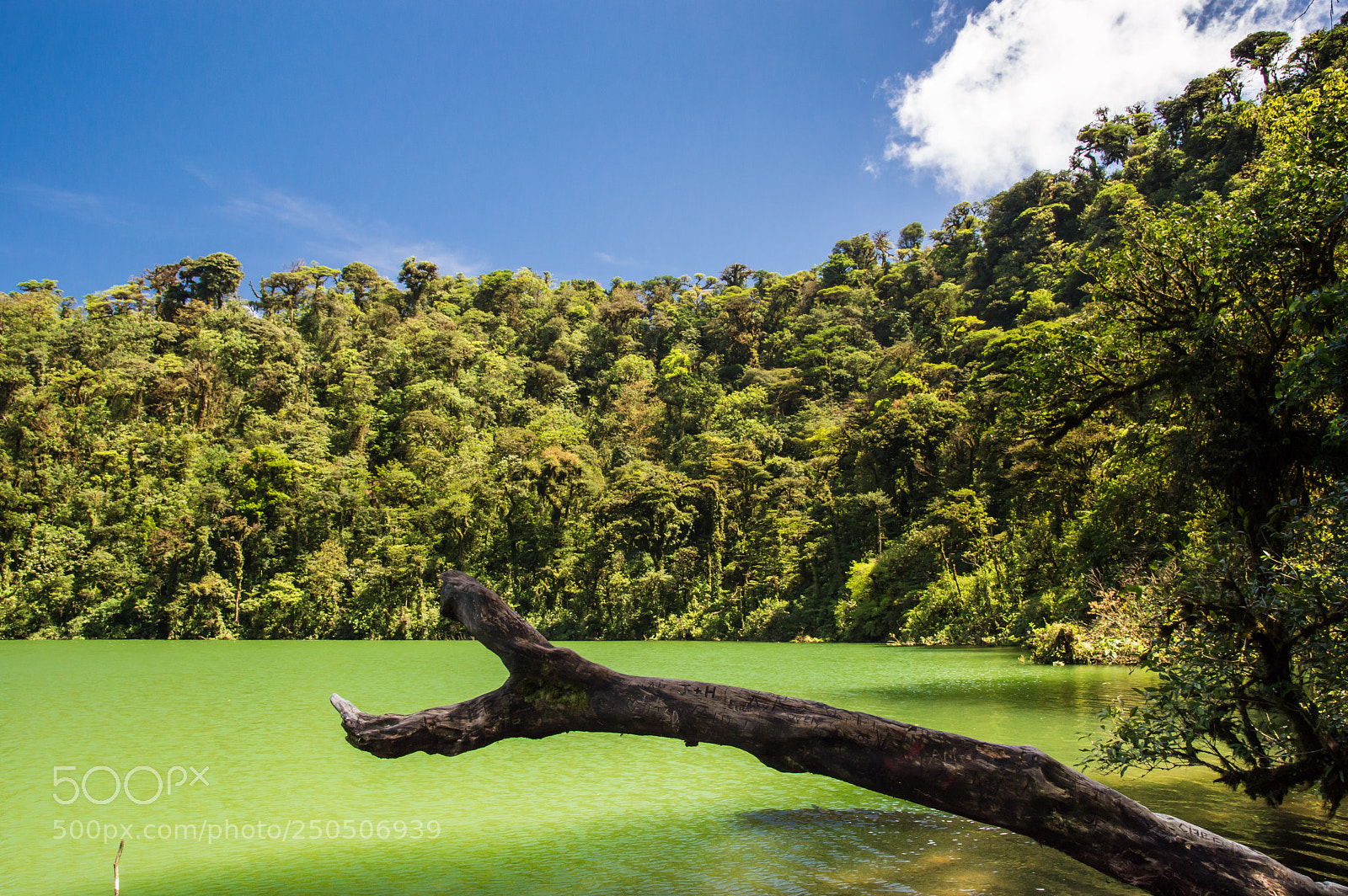Nikon D3200 sample photo. Cerro chato photography