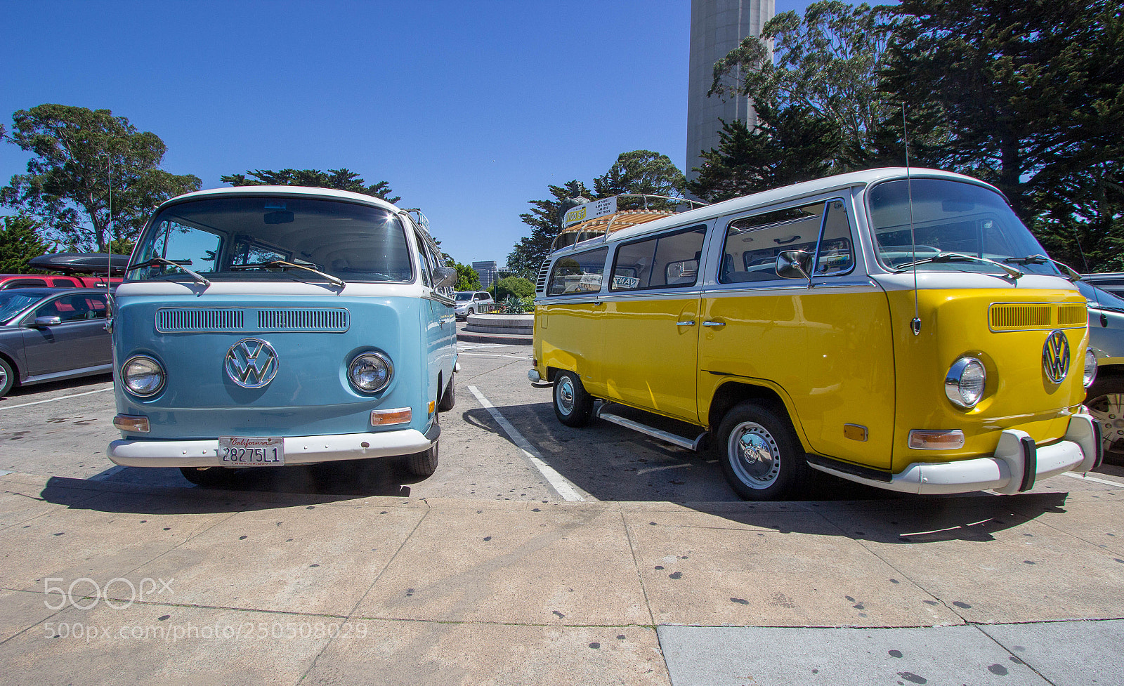 Canon EOS 600D (Rebel EOS T3i / EOS Kiss X5) sample photo. Bus sisters photography