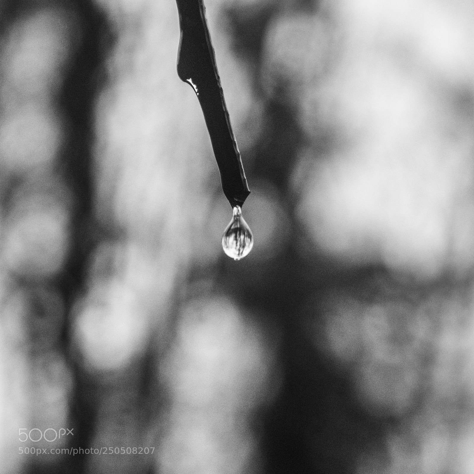 Nikon D5300 sample photo. The breaking point photography