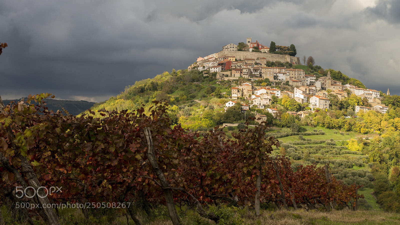 Nikon D800 sample photo. Motovun photography
