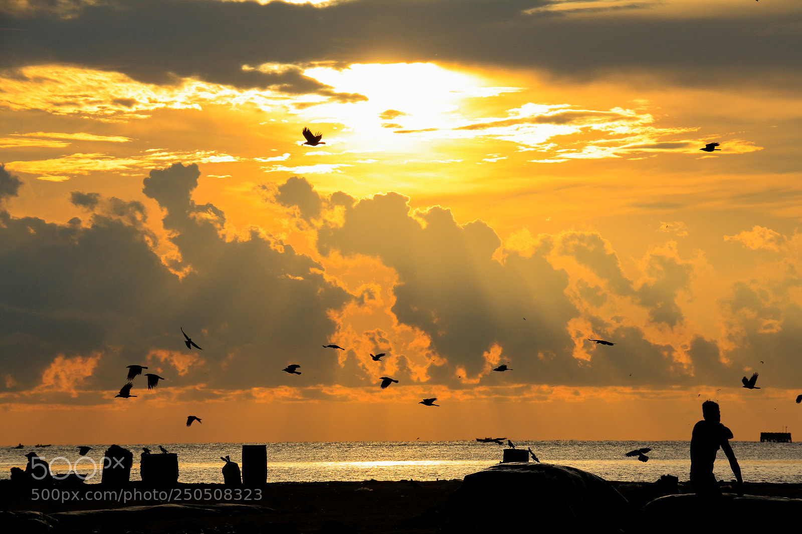 Canon EOS 70D sample photo. Sunset in negombo photography