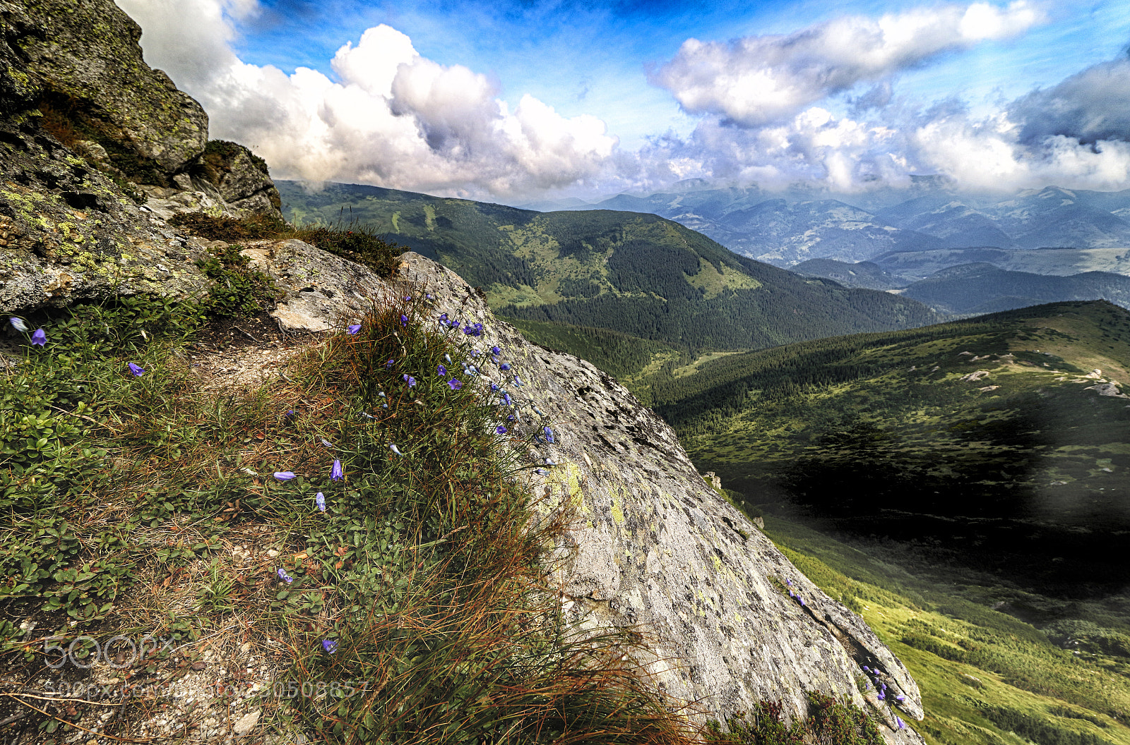 Canon EOS 7D Mark II sample photo. Living on the edge photography