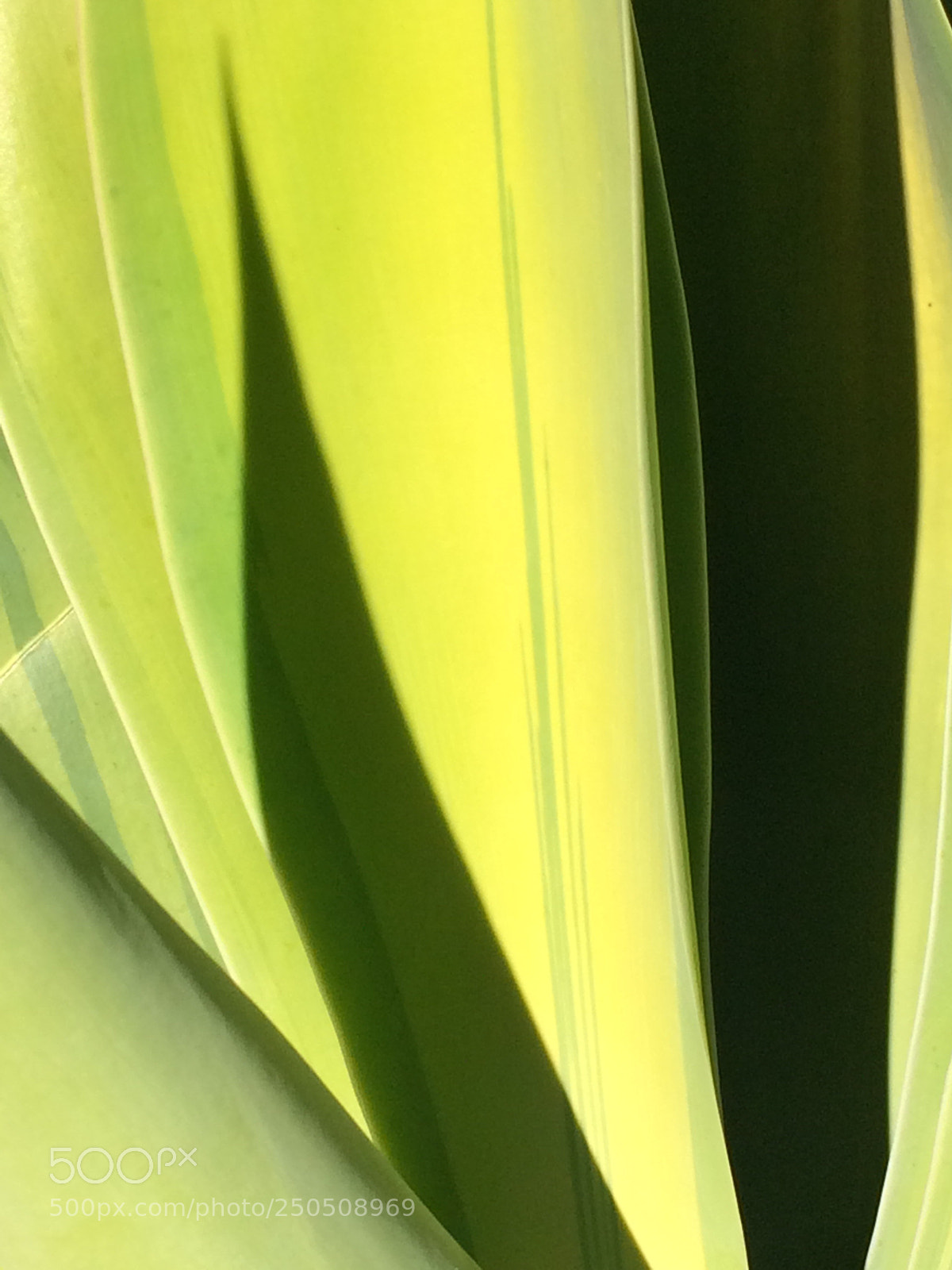 Apple iPhone 5s sample photo. Image 82 photography