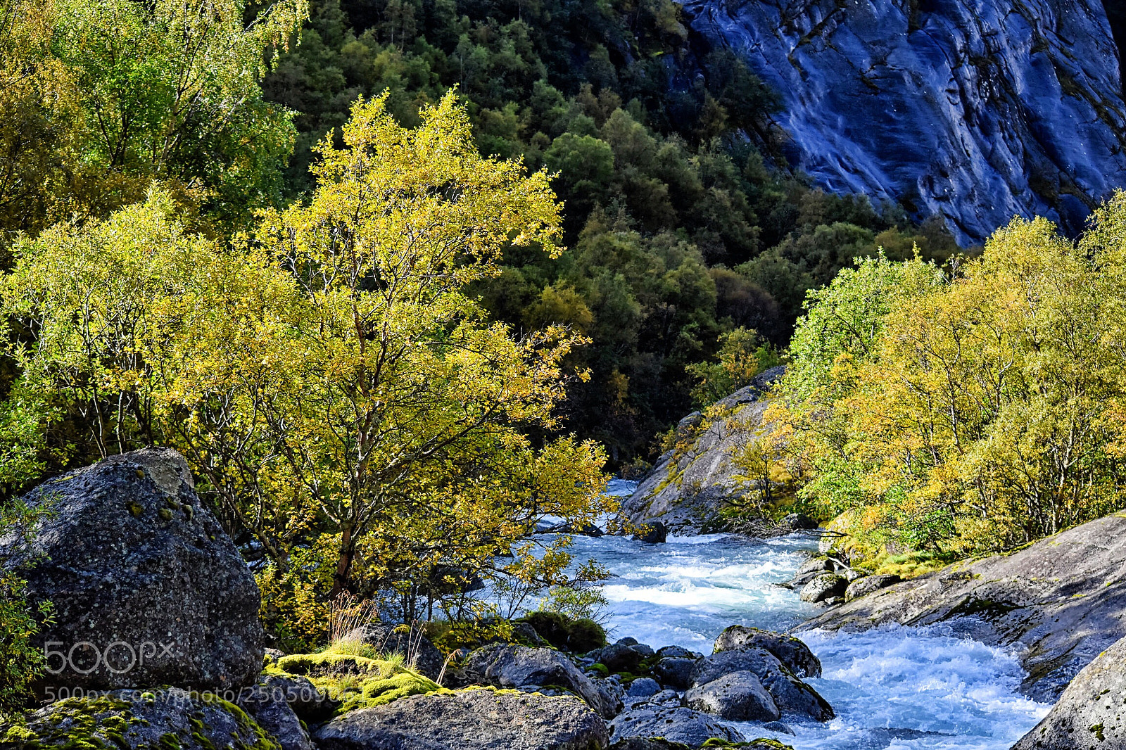 Nikon D5300 sample photo. A river runs through photography