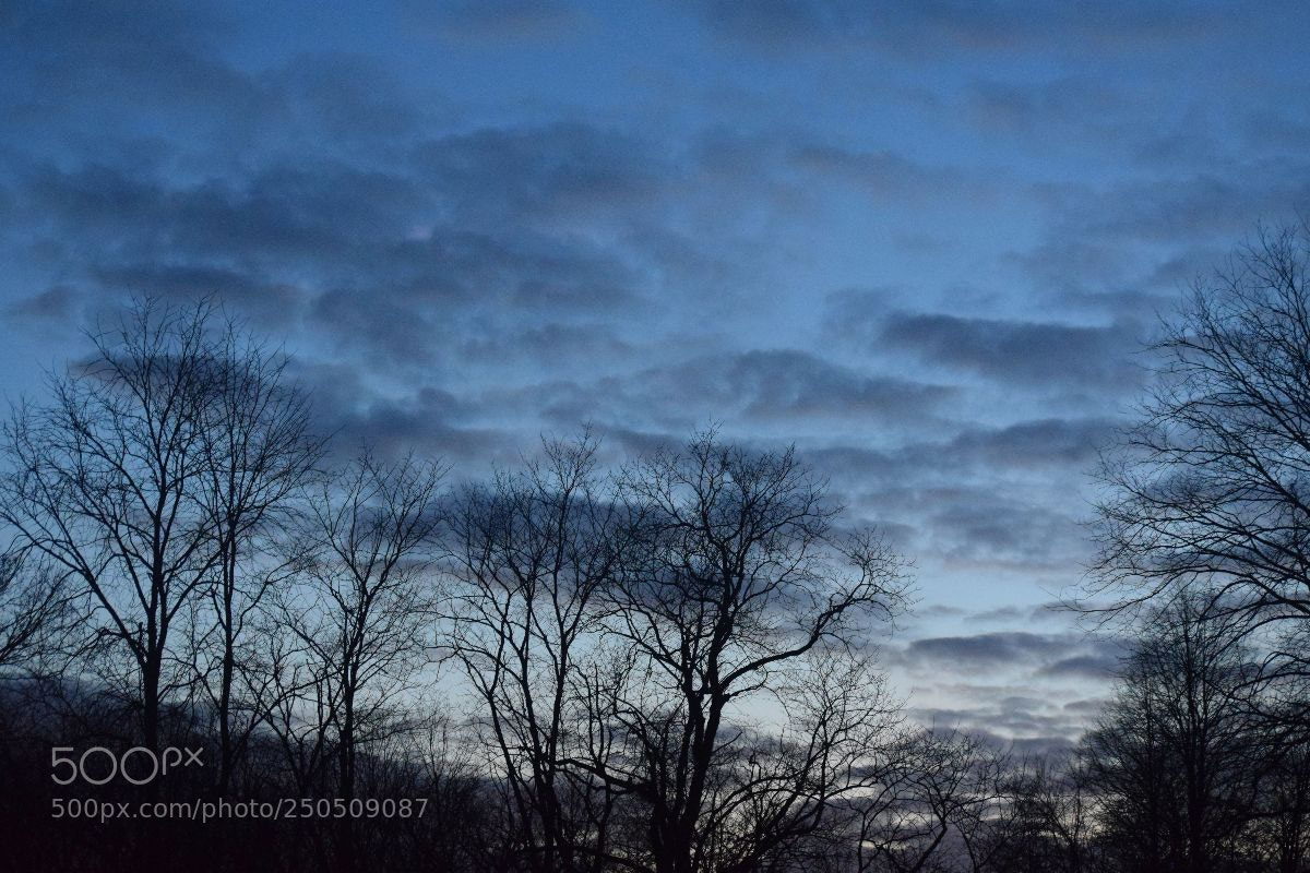 Nikon D3300 sample photo. вечер photography