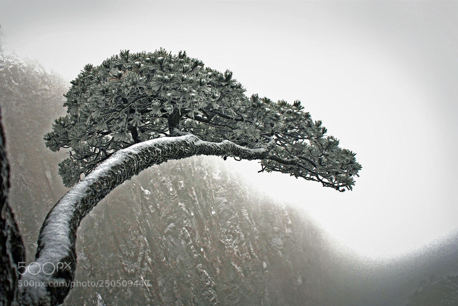 Nikon D80 sample photo. Solitary photography