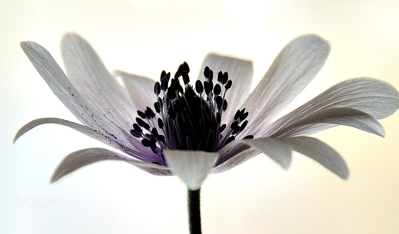 Nikon D3200 sample photo. Untitled photography