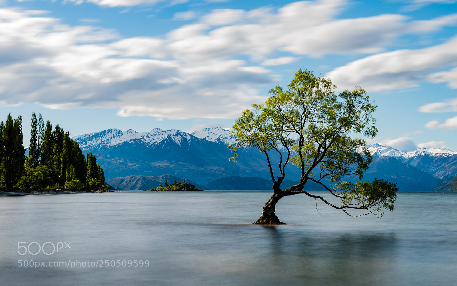 Nikon D810 sample photo. Lone tree of lake photography