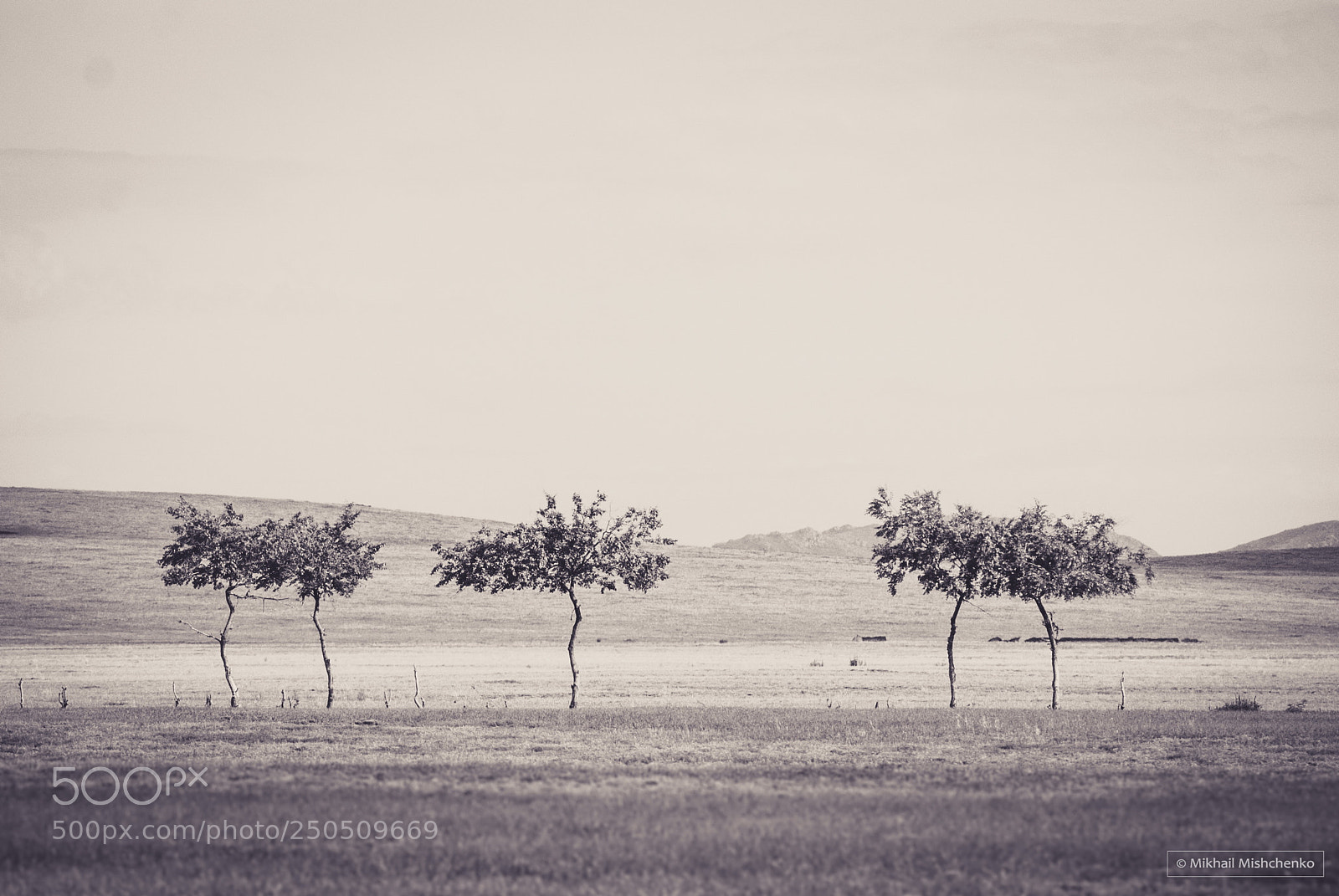 Sony Alpha DSLR-A200 sample photo. Gobi desert photography