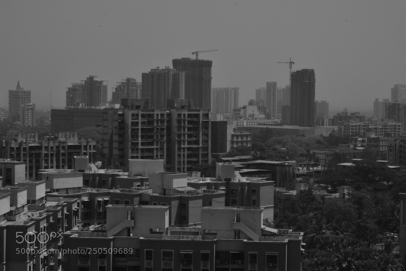 Nikon D5500 sample photo. Summer photography