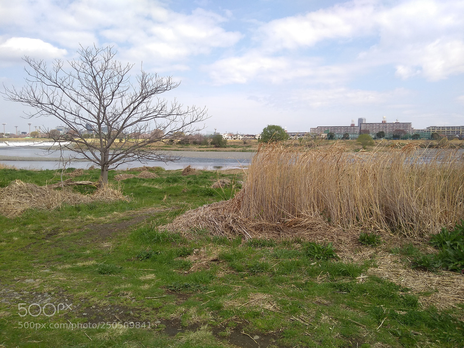 Motorola Moto G (5S) Plus sample photo. Untitled photography