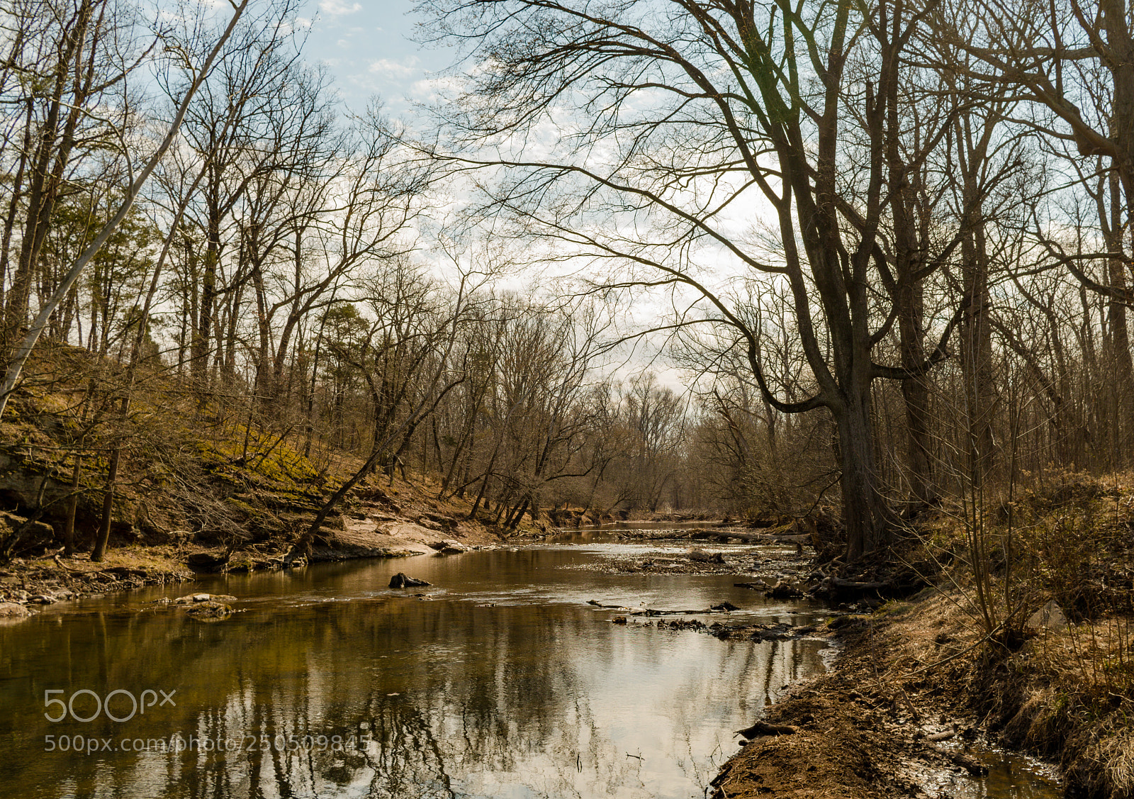 Pentax KP sample photo. Bull run photography