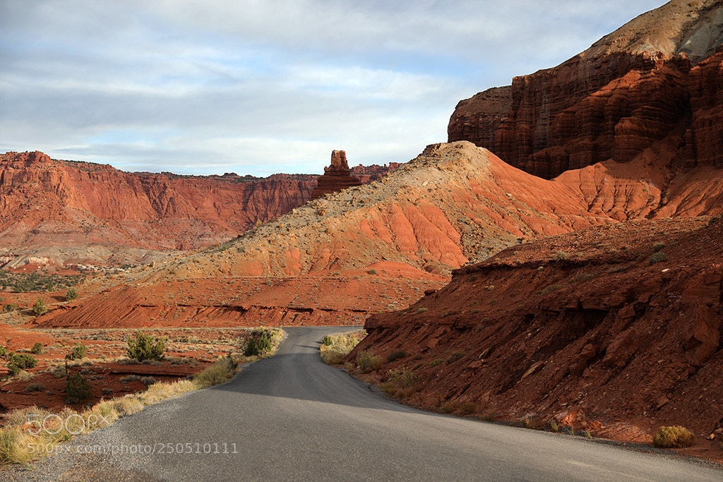 Canon EOS 5D Mark IV sample photo. Road into capital reef photography