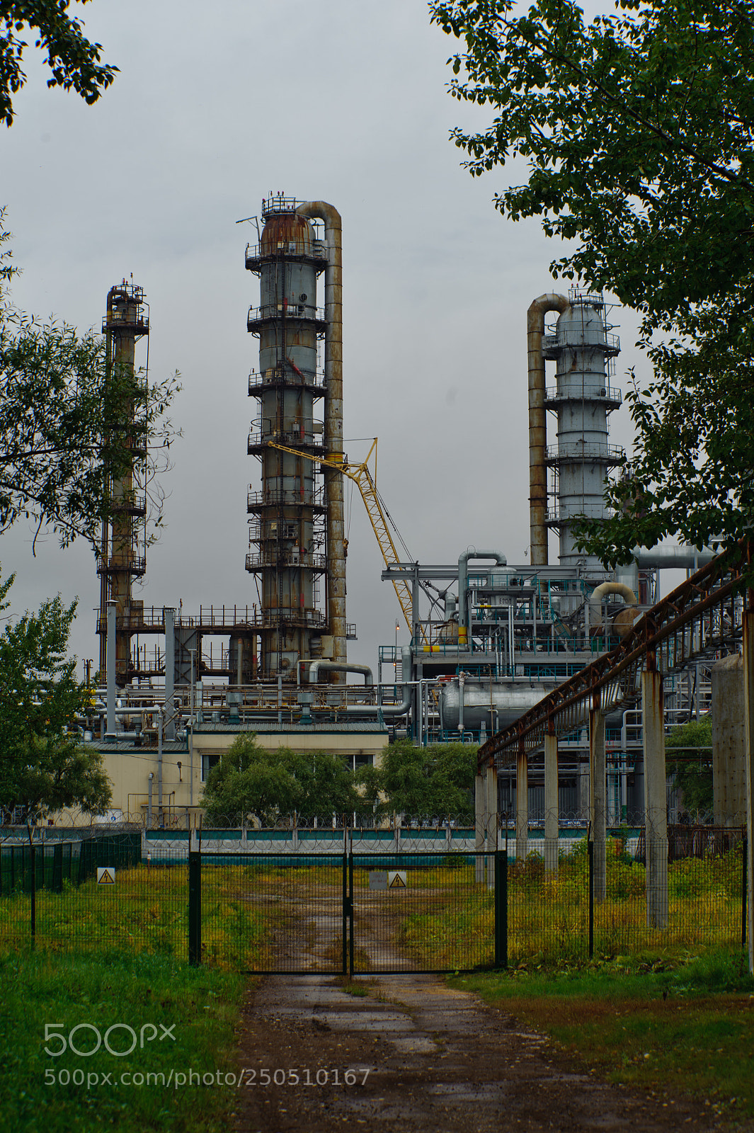 Nikon D700 sample photo. ПНОС photography