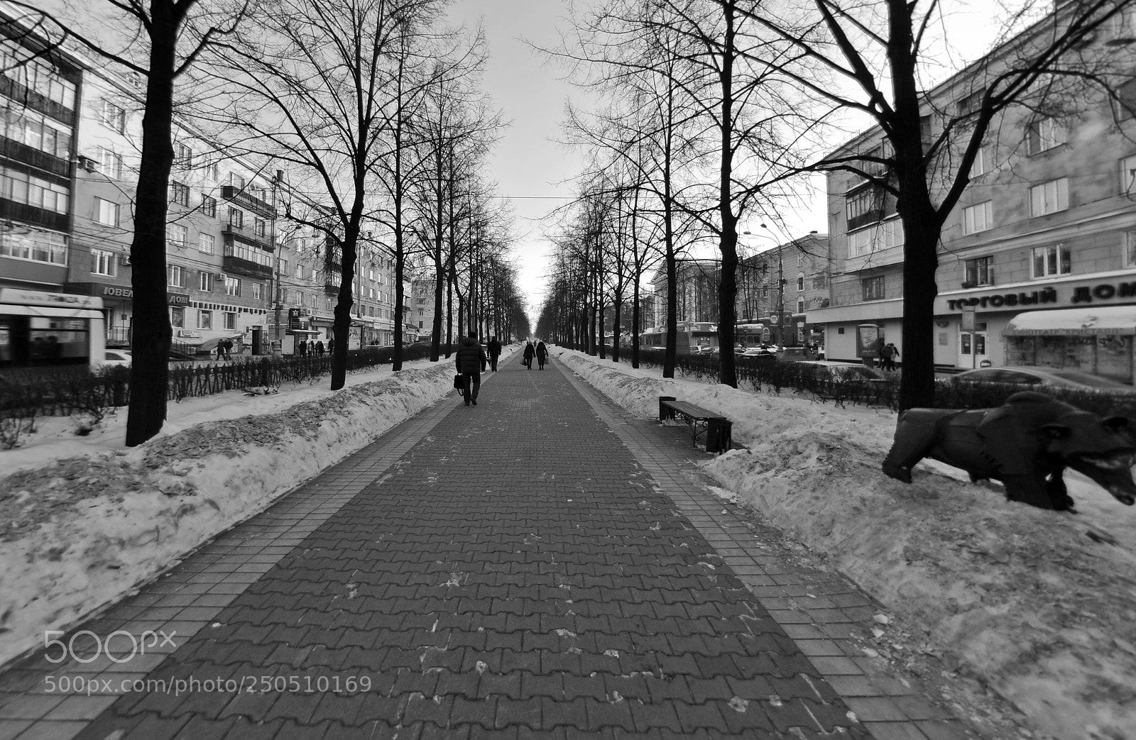 Nikon D300 sample photo. Компрос photography