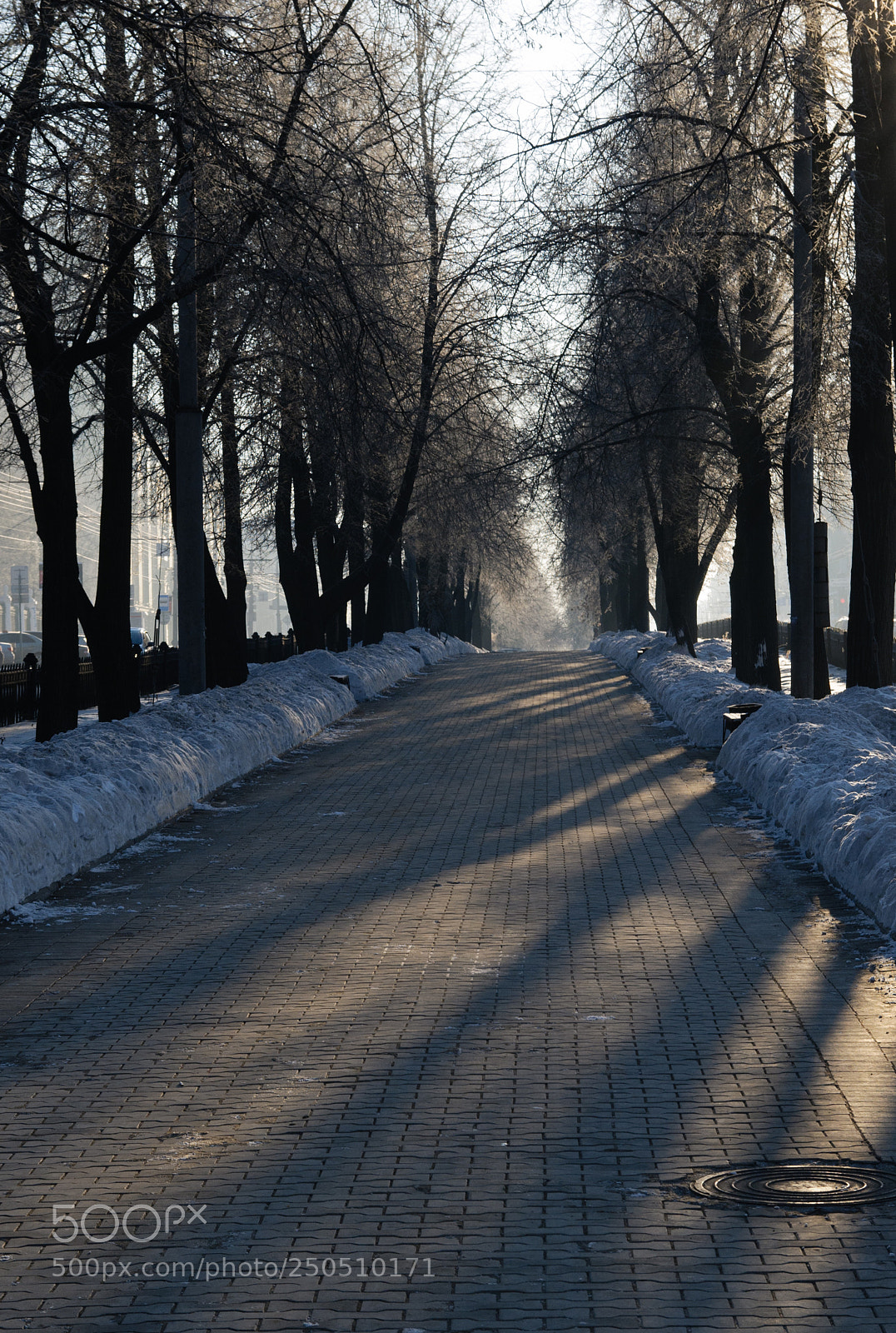 Nikon D300 sample photo. Компрос photography
