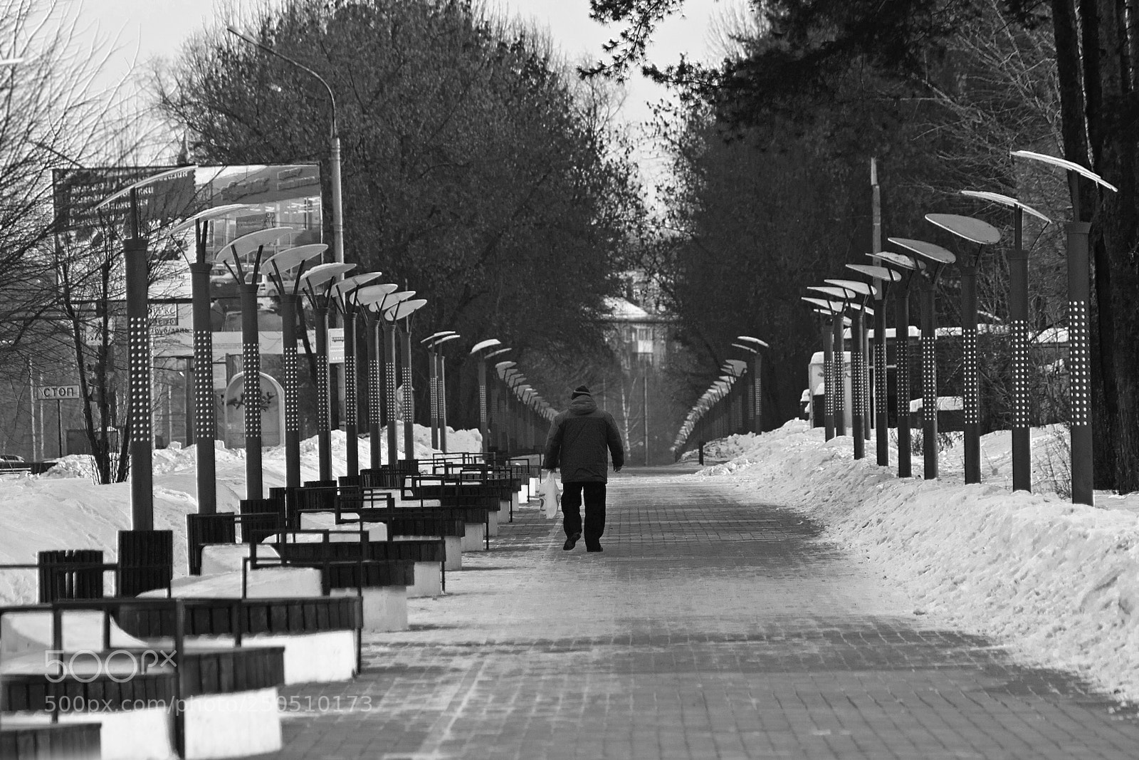 Nikon D300 sample photo. Аллея photography