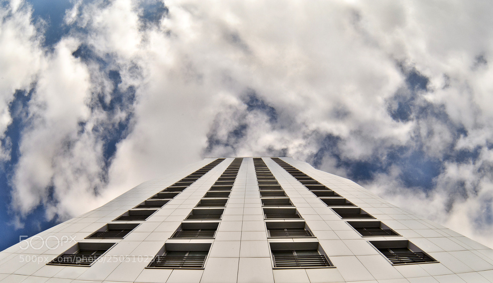 Nikon D700 sample photo. В небо photography