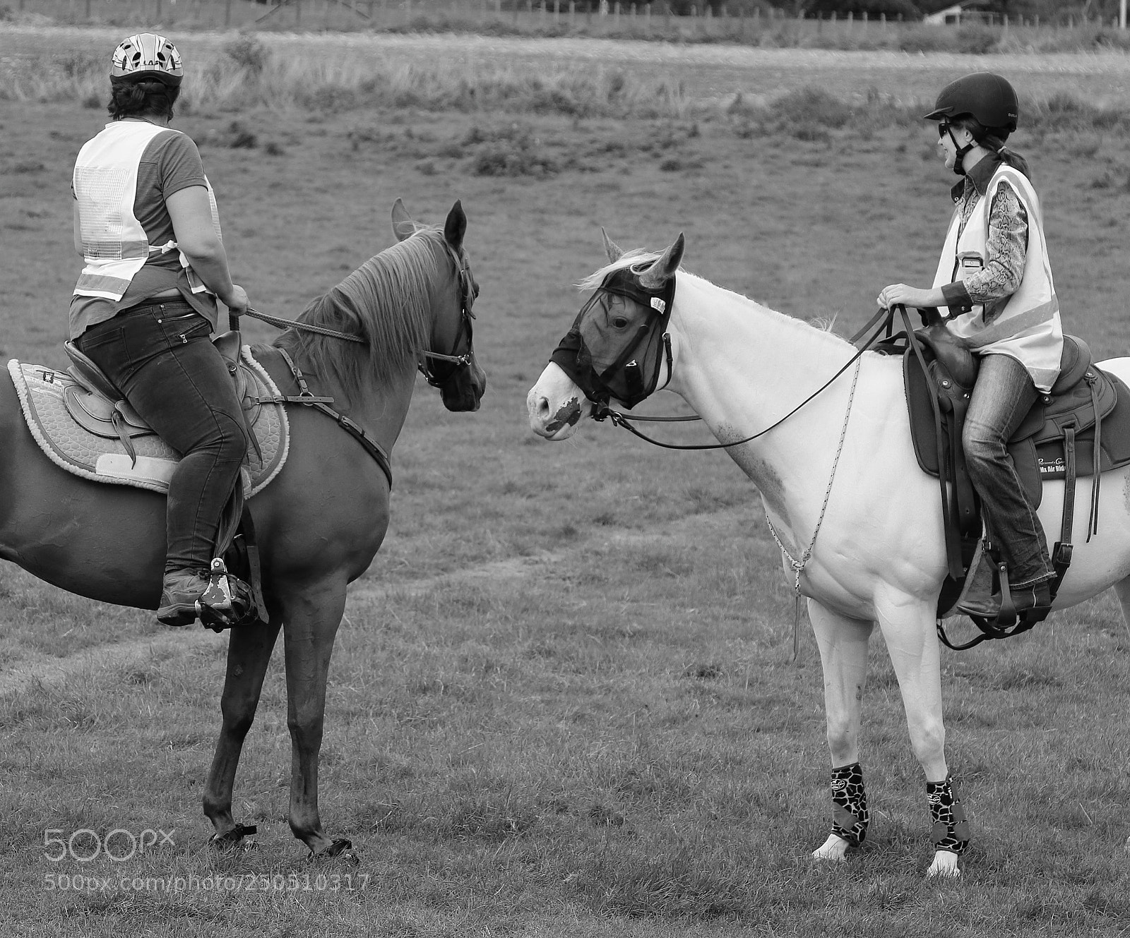 Canon EOS 70D sample photo. Riders and horses. photography