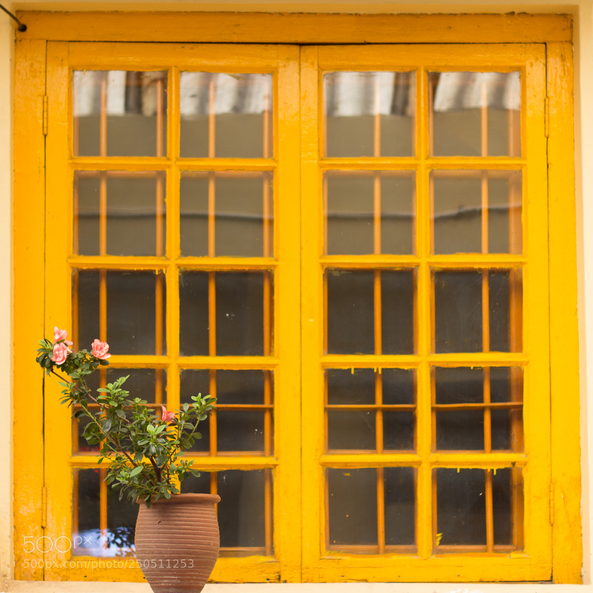 Canon EOS 600D (Rebel EOS T3i / EOS Kiss X5) sample photo. Yellow window photography