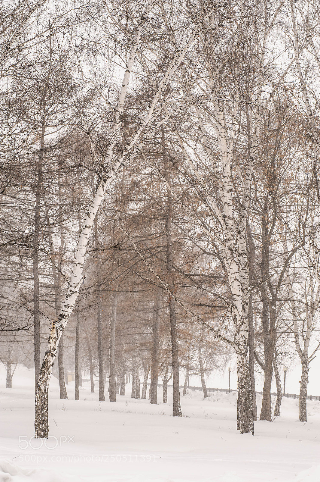 Nikon D700 sample photo. Perm photography