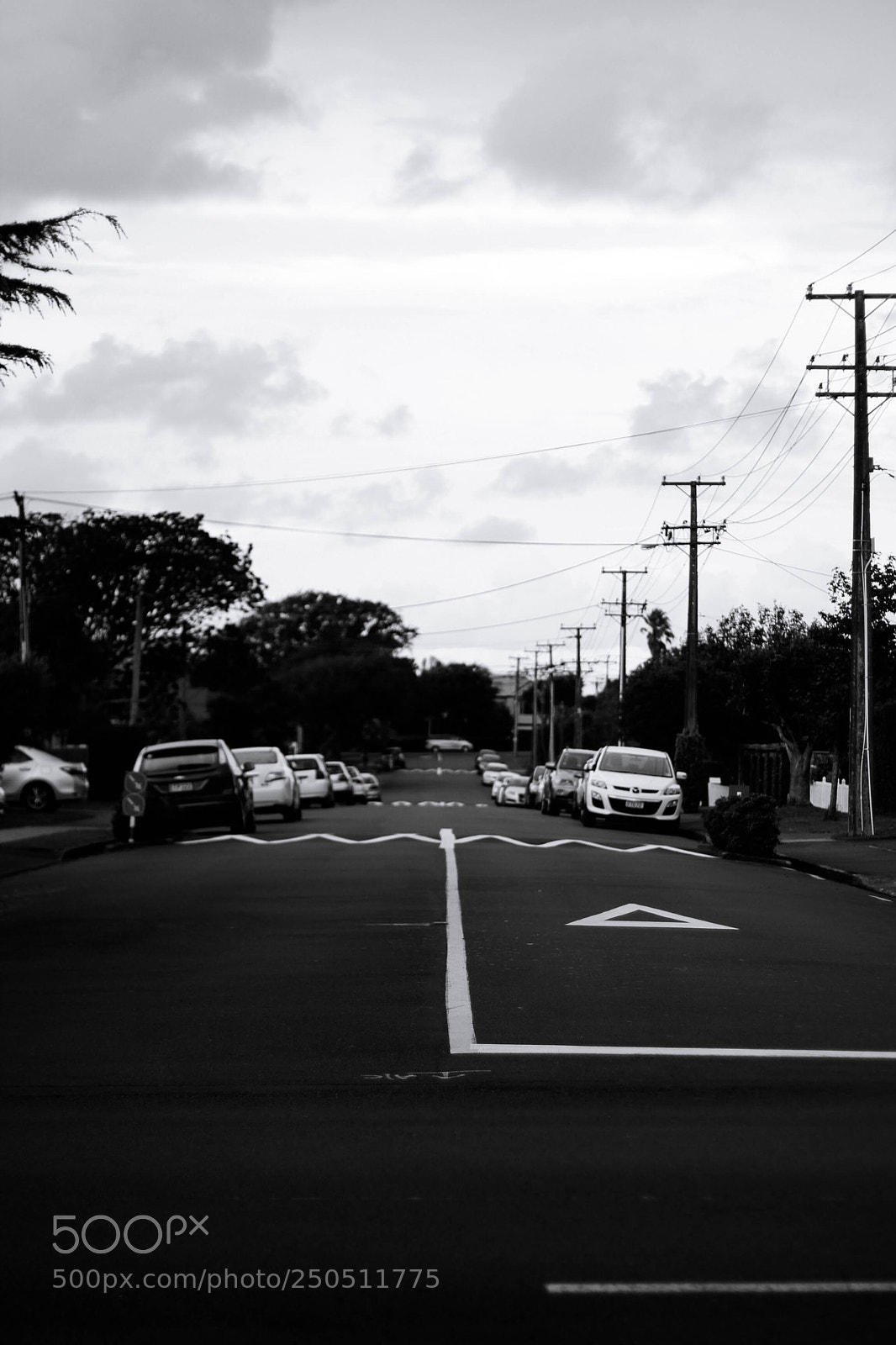 Canon EOS 600D (Rebel EOS T3i / EOS Kiss X5) sample photo. Roadside photography