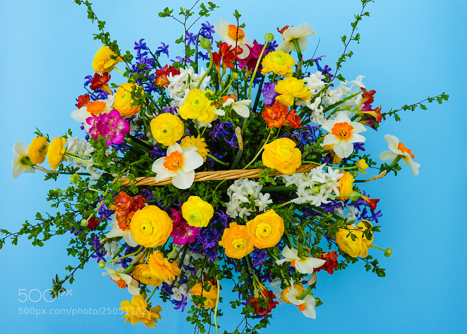 Sony a7 sample photo. Summer bouquet with bright photography