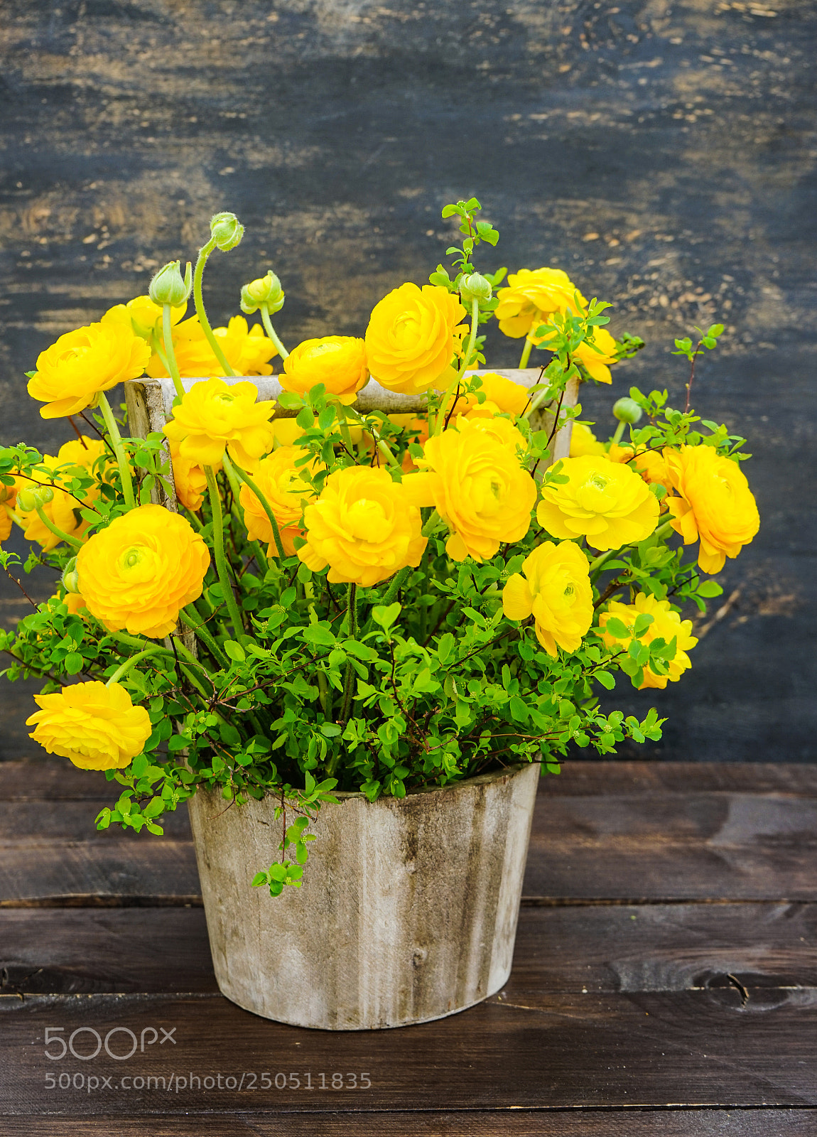 Sony a7 sample photo. Beautiful summer bouquet photography