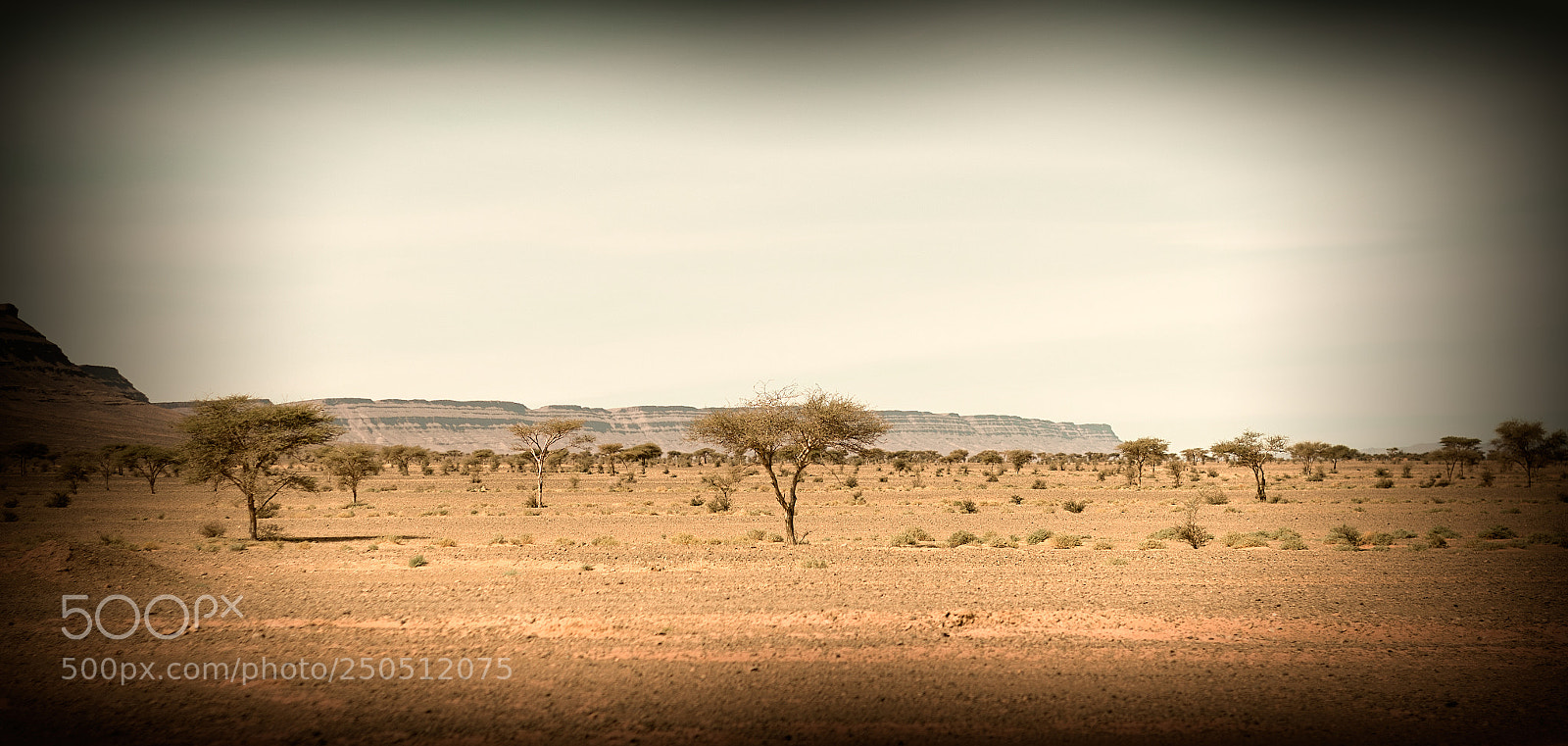 Canon EOS 70D sample photo. The dessert exposure photography