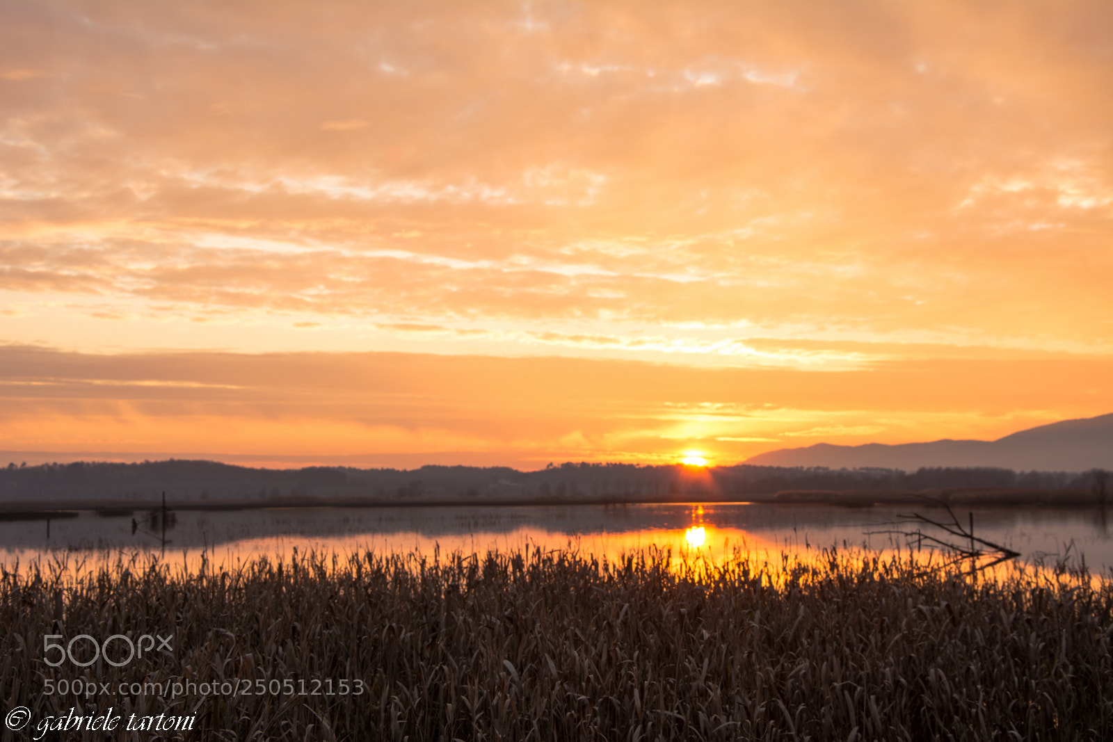 Nikon D5200 sample photo. Tramonto al padule photography