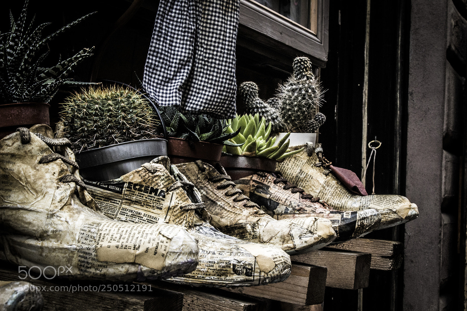 Canon EOS 600D (Rebel EOS T3i / EOS Kiss X5) sample photo. Talking shoes... photography