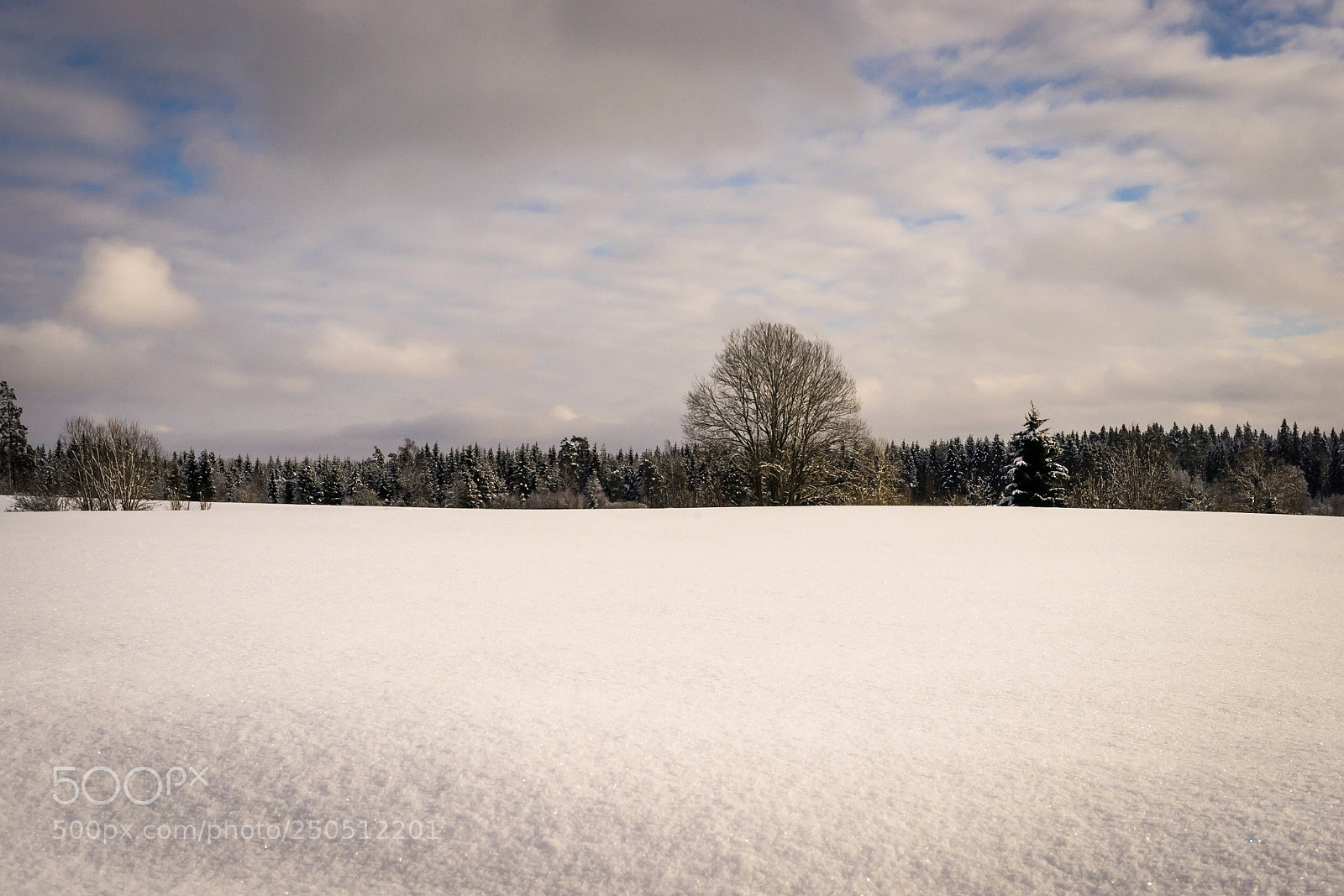 Sony a7R sample photo. Winter  photography