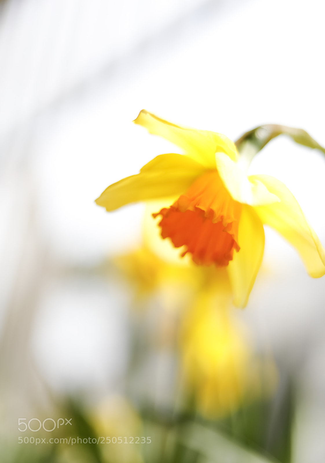 Canon EOS 5D Mark IV sample photo. Untitled photography