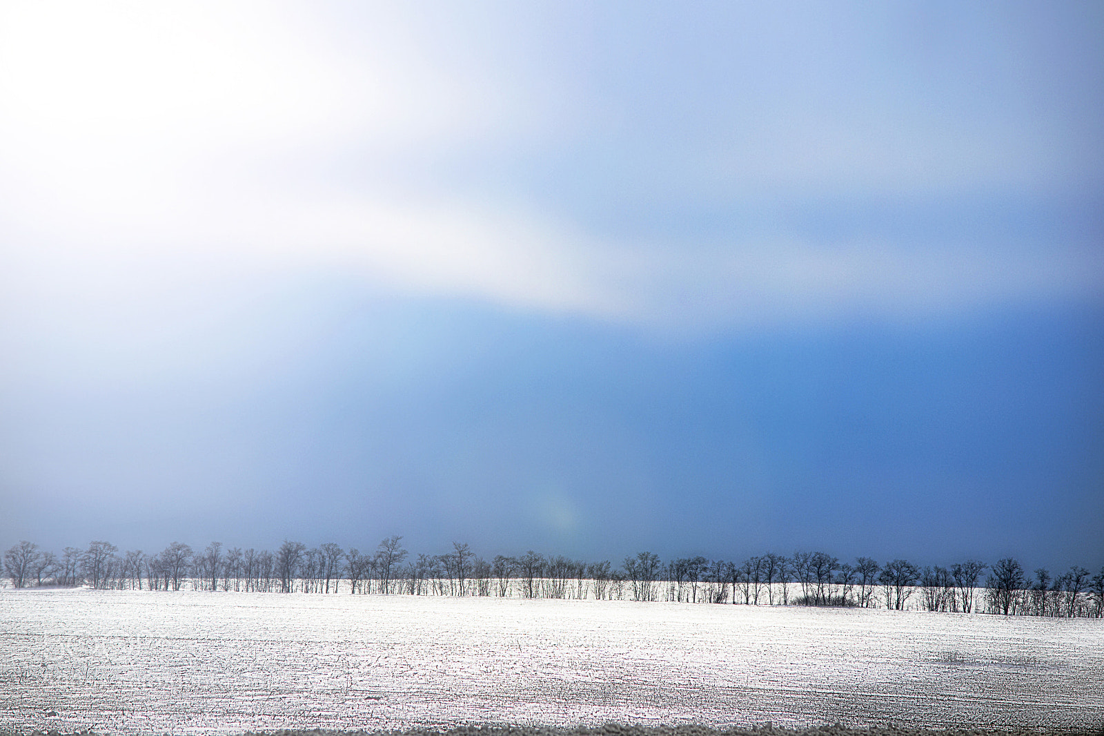 Nikon D3100 sample photo. как смарт объект photography