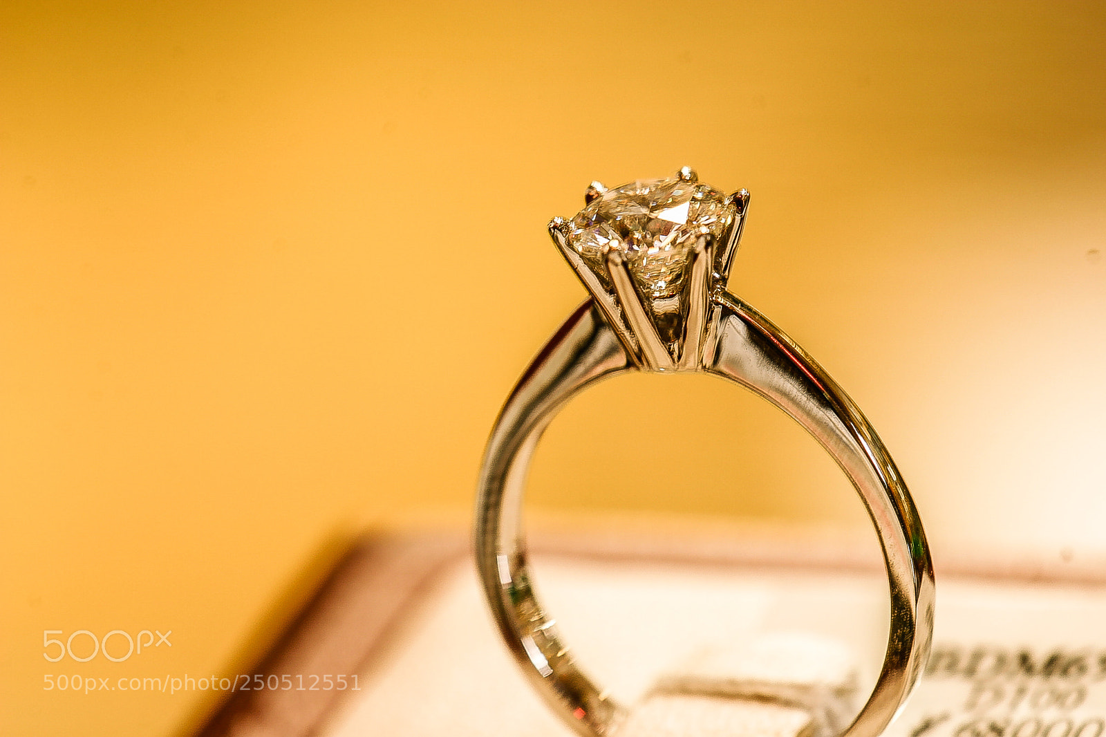 Canon EOS 10D sample photo. Img photography