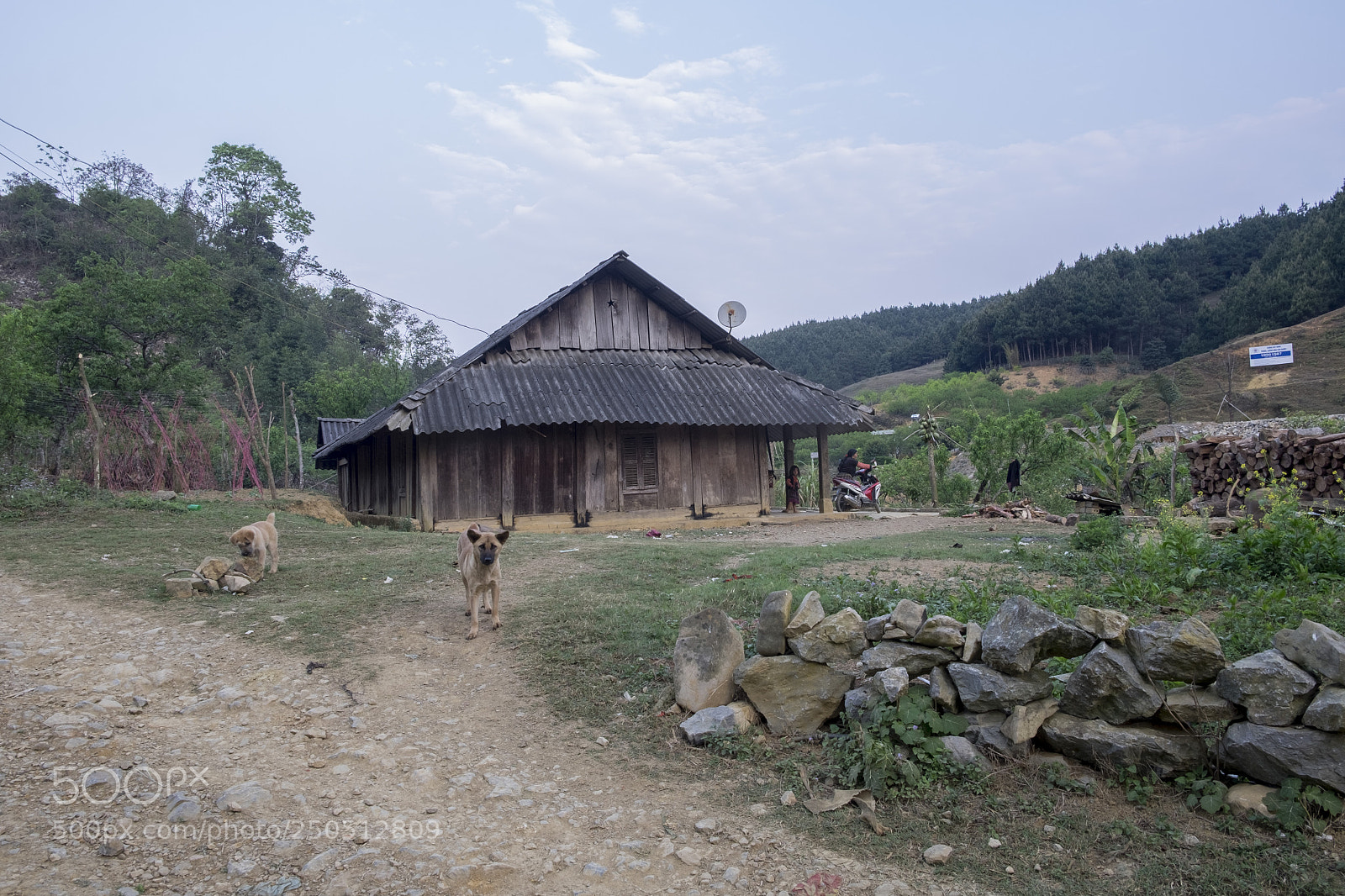 Fujifilm X-T10 sample photo. Morning in hua tat photography