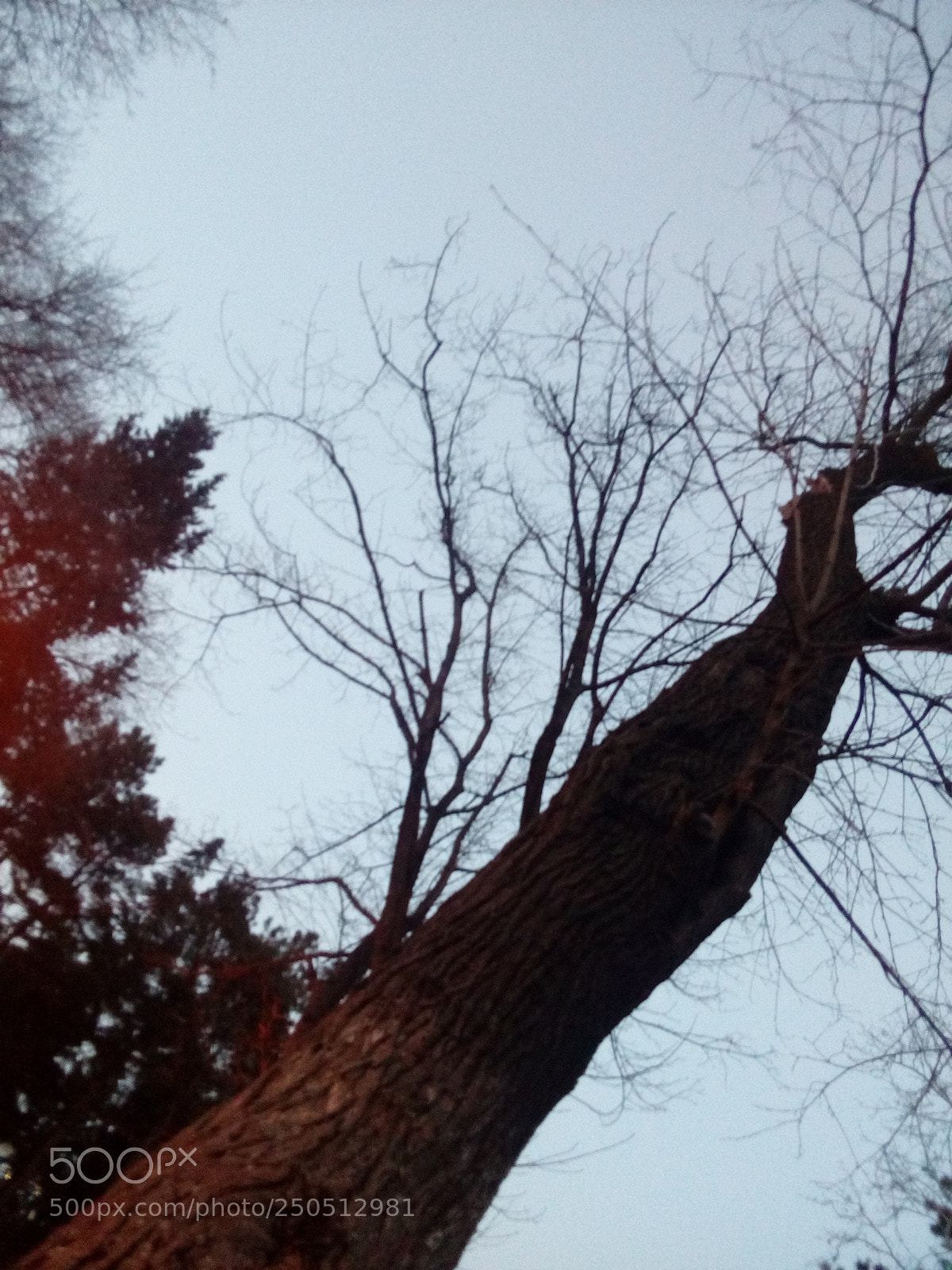 HUAWEI Y5II sample photo. Untitled photography