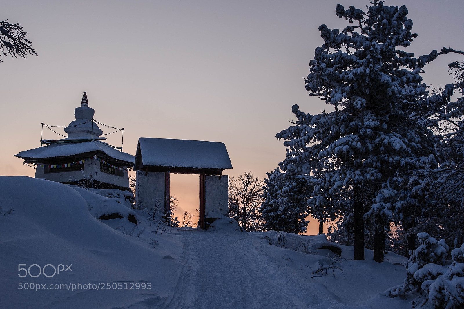 Nikon D700 sample photo. Буддийская община "Шедруб линг" photography