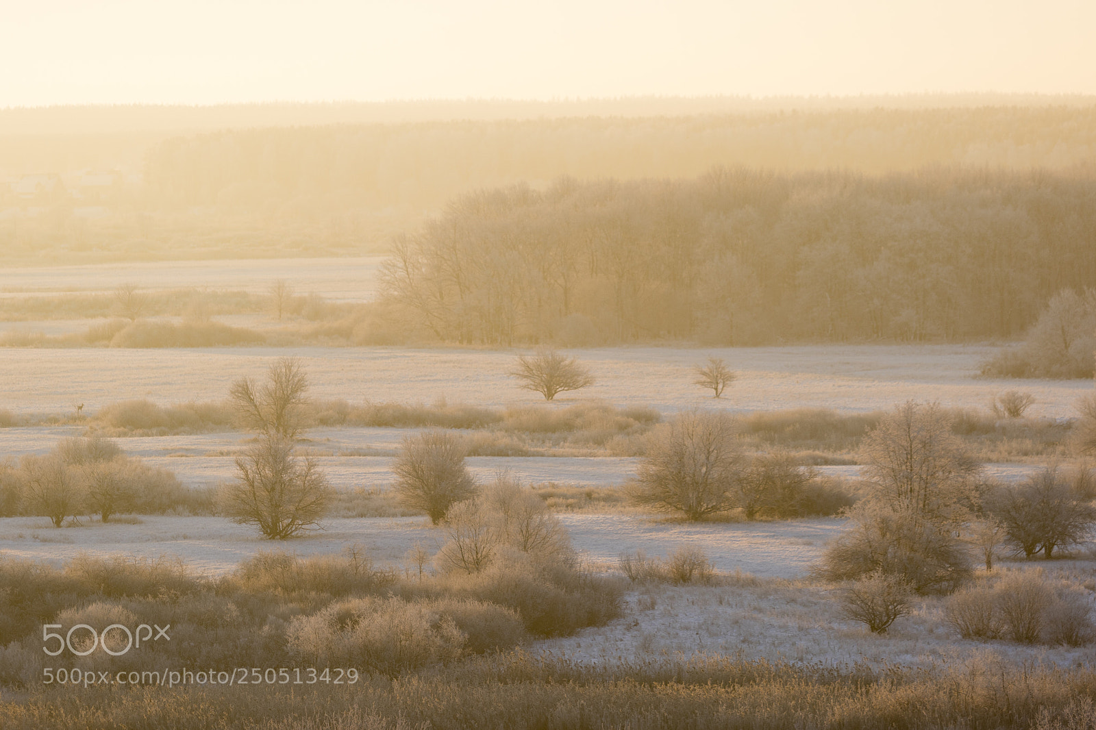 Canon EOS 7D Mark II sample photo. Untitled photography