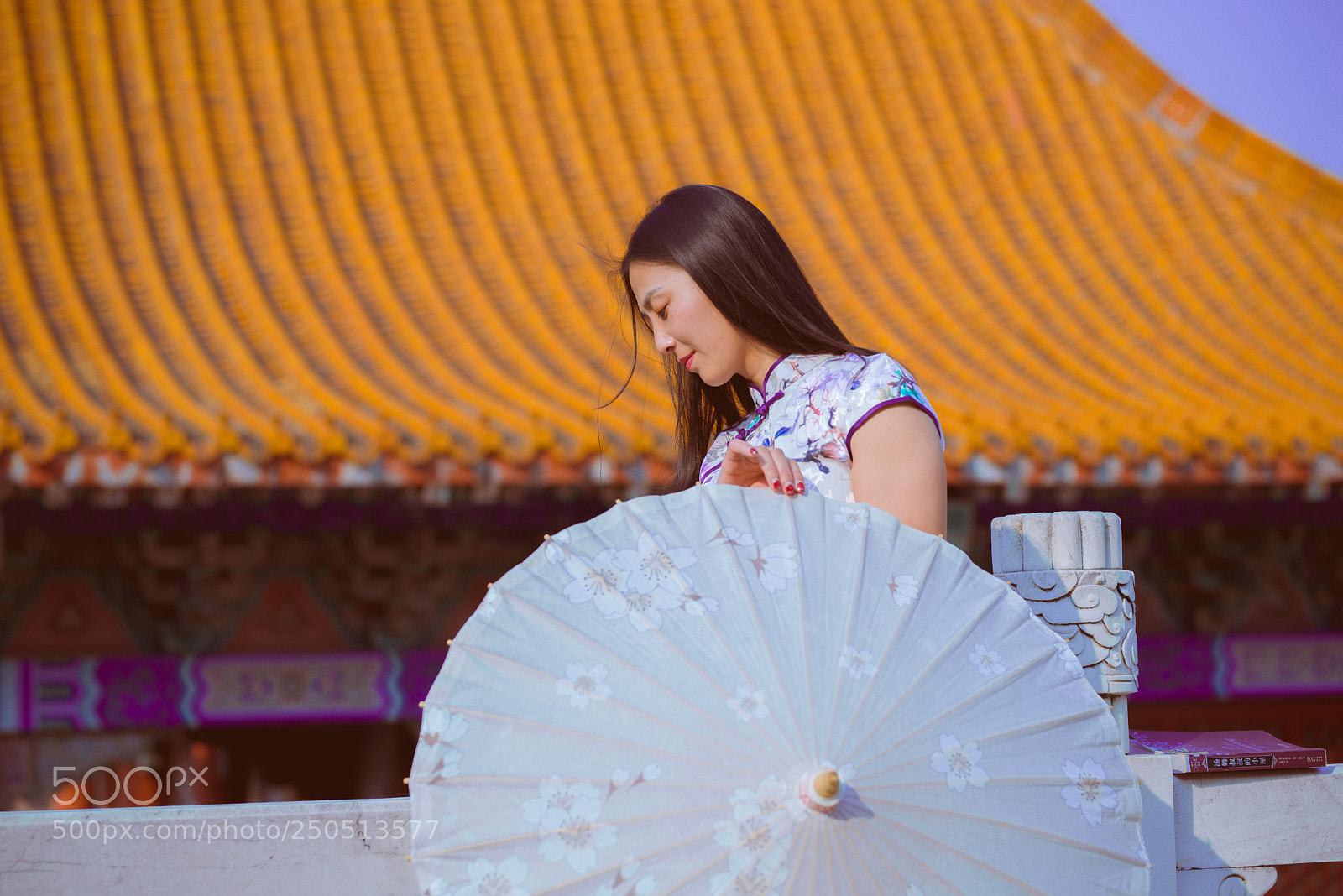 Nikon D610 sample photo. 旗袍少女 photography