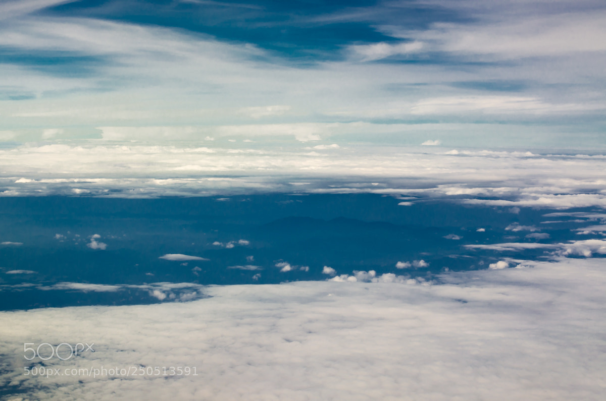 Nikon D5100 sample photo. Untitled photography