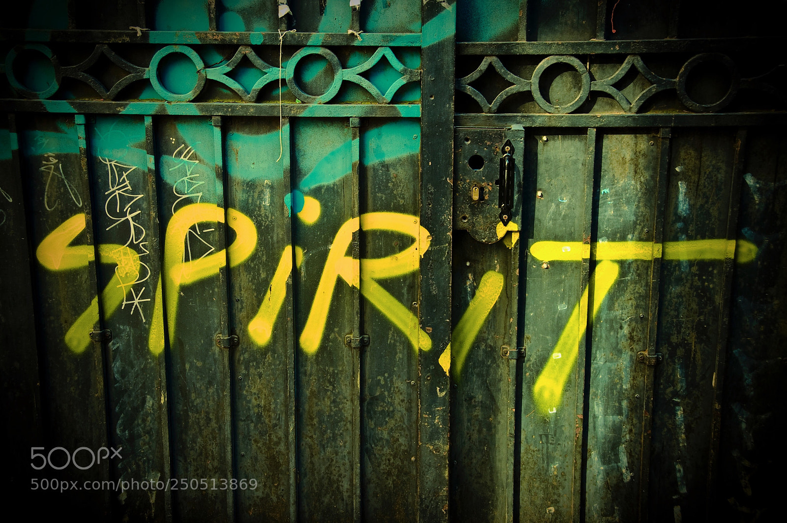 Nikon D300 sample photo. Untitled photography