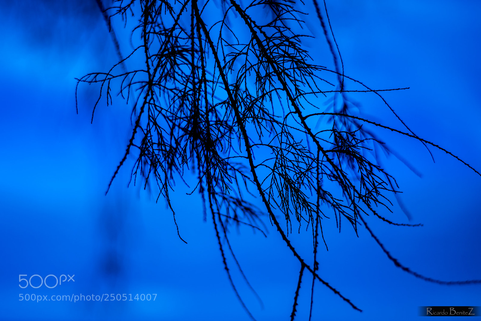 Nikon D7200 sample photo. Worlds photography
